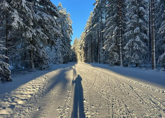 Veskikambrid * Hellenurme